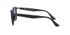 RB4259F Sunglasses