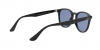 RB4259F Sunglasses