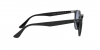 RB4259F Sunglasses