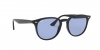 RB4259F Sunglasses
