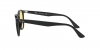 RB4259F Sunglasses