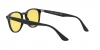 RB4259F Sunglasses