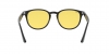 RB4259F Sunglasses