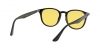 RB4259F Sunglasses