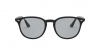 RB4259F Sunglasses