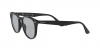 RB4259F Sunglasses