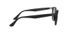 RB4259F Sunglasses
