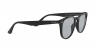 RB4259F Sunglasses