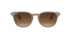 RB4259F Sunglasses