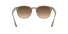 RB4259F Sunglasses