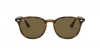 RB4259F Sunglasses