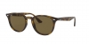 RB4259F Sunglasses