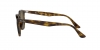 RB4259F Sunglasses