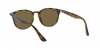 RB4259F Sunglasses