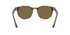 RB4259F Sunglasses
