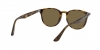 RB4259F Sunglasses