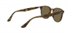 RB4259F Sunglasses