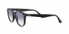RB4259 Sunglasses