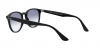 RB4259 Sunglasses