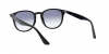 RB4259 Sunglasses
