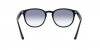 RB4259 Sunglasses