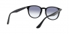 RB4259 Sunglasses