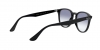 RB4259 Sunglasses