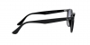 RB4259 Sunglasses