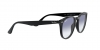 RB4259 Sunglasses