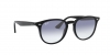 RB4259 Sunglasses