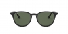 RB4259 Sunglasses