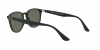 RB4259 Sunglasses