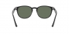 RB4259 Sunglasses