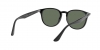 RB4259 Sunglasses