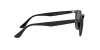 RB4259 Sunglasses