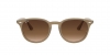 RB4259 Sunglasses