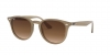RB4259 Sunglasses