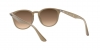 RB4259 Sunglasses