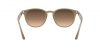 RB4259 Sunglasses
