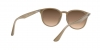 RB4259 Sunglasses