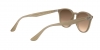 RB4259 Sunglasses
