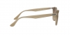 RB4259 Sunglasses
