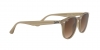 RB4259 Sunglasses