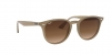 RB4259 Sunglasses