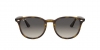 RB4259 Sunglasses