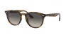 RB4259 Sunglasses