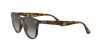 RB4259 Sunglasses