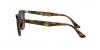 RB4259 Sunglasses