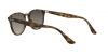 RB4259 Sunglasses