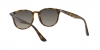 RB4259 Sunglasses